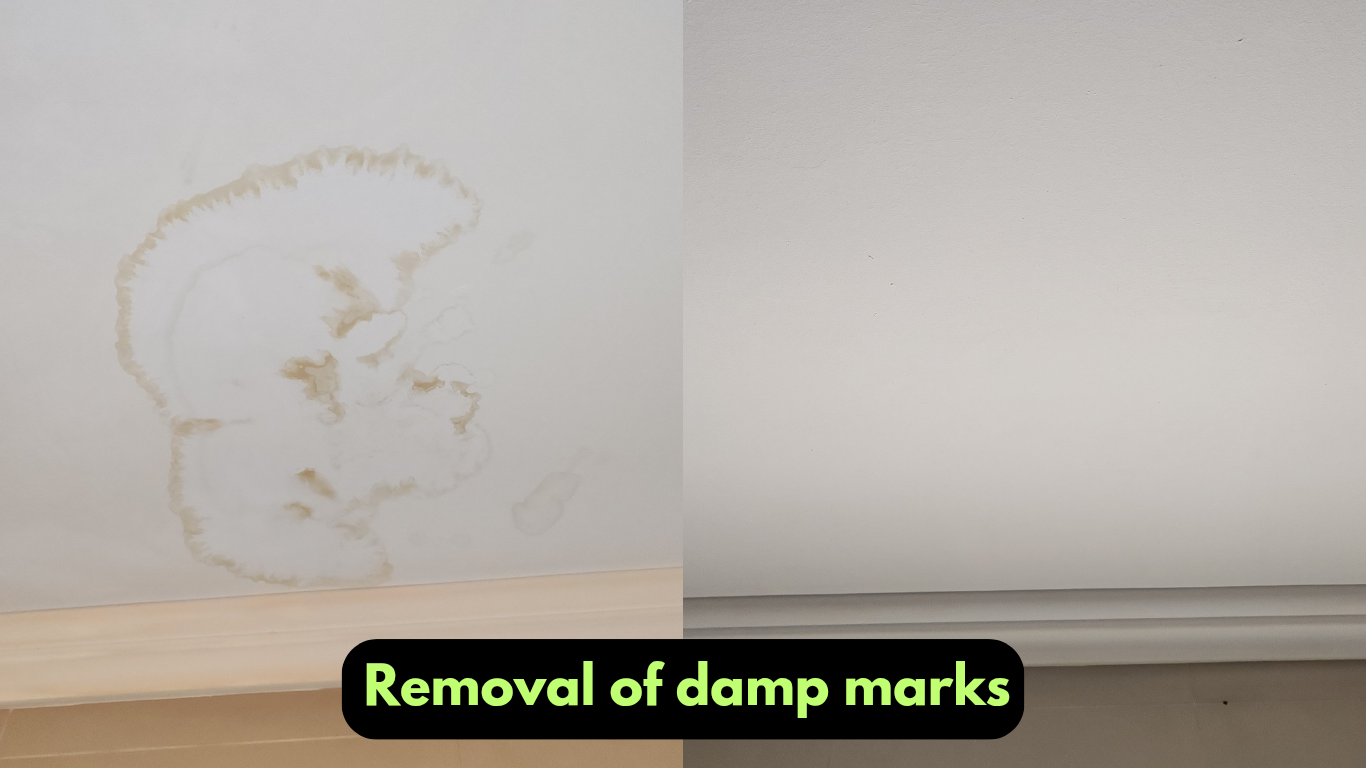 Removal of damo marks_20250131_143947_0002